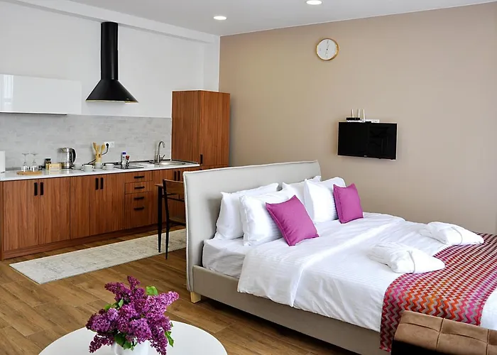 Studio Apartment