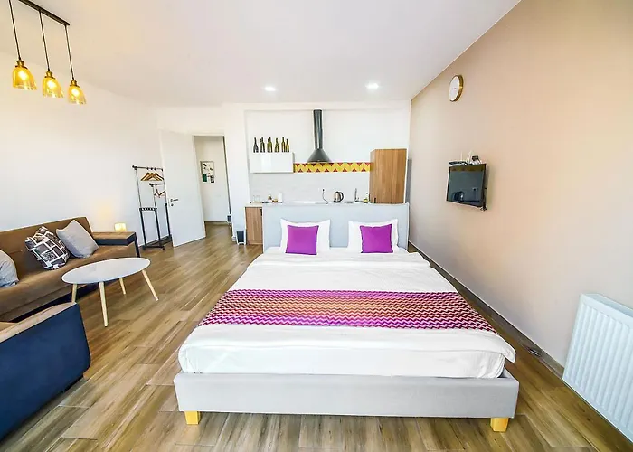 Studio Apartment